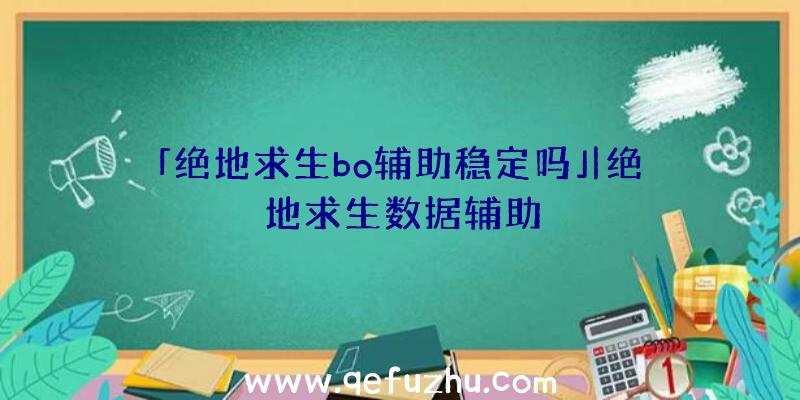 「绝地求生bo辅助稳定吗」|绝地求生数据辅助